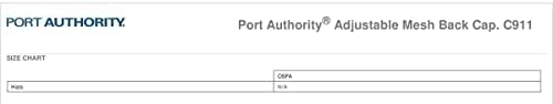 Podesiva Mrežasta Zadnja Kapa Za Port Authority