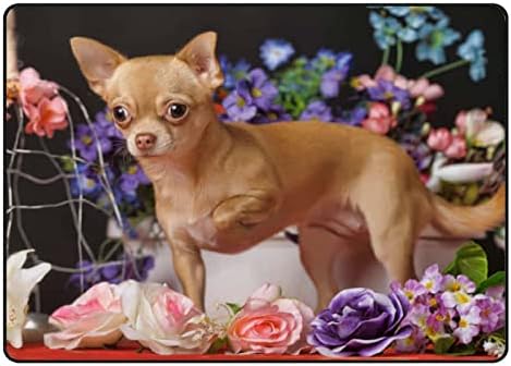 Puzajući zatvoreni tepih Play Mat Puppy Chihuahua i proljeće Cvijeće za dnevnu sobu spavaća soba Obrazovna