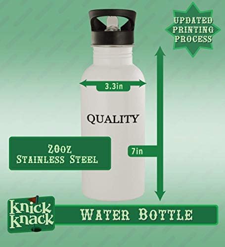 Knick Klack Pokloni Anime and Chill - 20oz boca vode od nehrđajućeg čelika, srebro