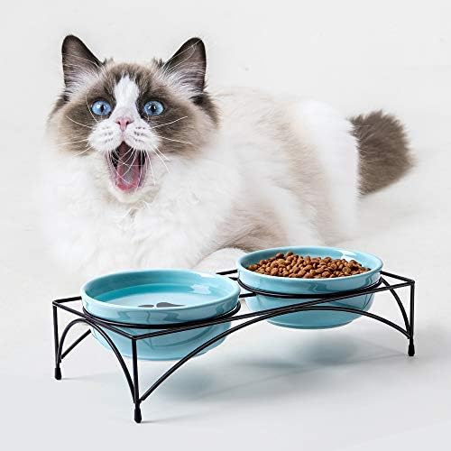 Y Yhy CAT zdjelice uz povišene, zdjele za hranu za hranu, podignute kućne ljubimce za unutarnje mačke ili