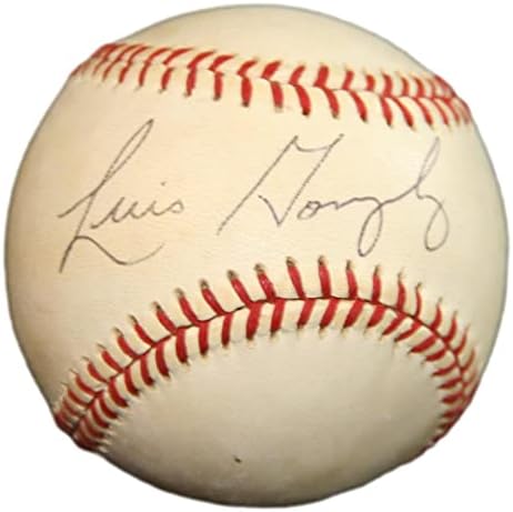 Luis Gonzalez potpisao je bejzbol autografiranih astros mladunaca PSA / DNA AL82290 - AUTOGREMENA BASEBALLS