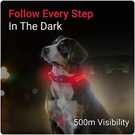 Tractive LED Light up ovratnik za pse - 3 načina svjetla za noćno hodanje, vodootporan, punjiv, do 10 sati