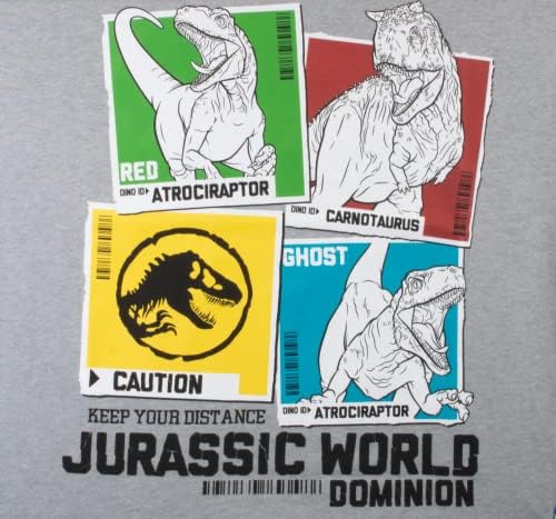Jurassic World Dominion Hoodie i T-Shirt Combo 2-paket za dječake, Boys duks sa kapuljačom i Tee Bundle