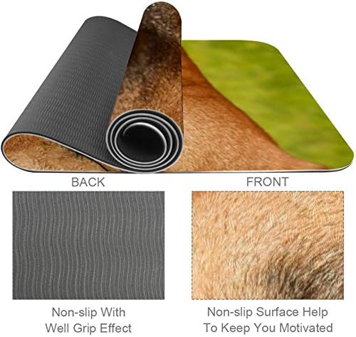 Siebzeh Rodezijski Ridgeback pas Premium Thick Yoga Mat Eco Friendly Rubber Health & amp; fitnes non Slip