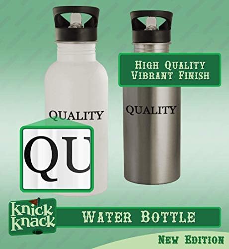 Knick krack pokloni batprinting - 20oz boca vode od nehrđajućeg čelika, srebro